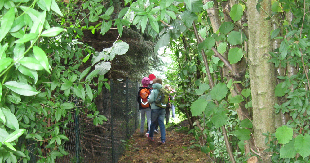 AWO Hort Grundschule Mittelbach