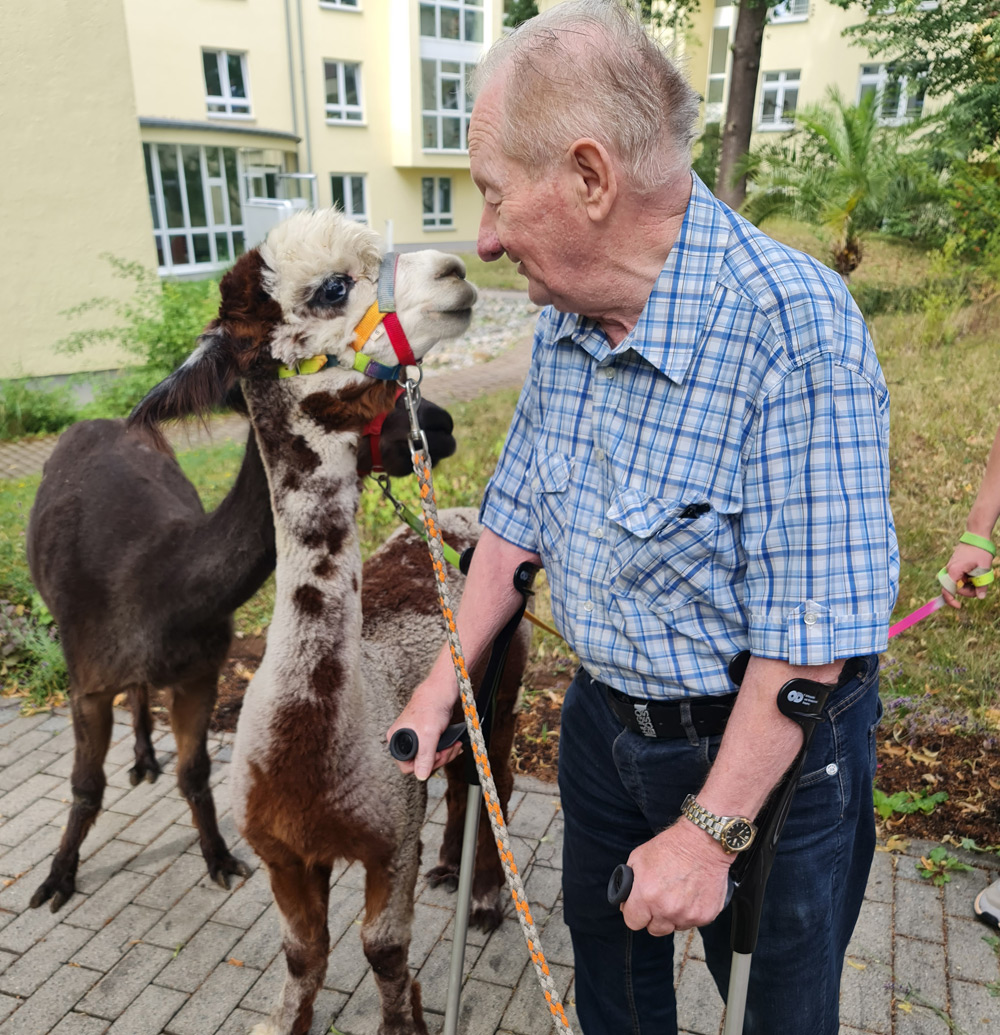 Tagespflege Stollberger Straße | Alpaka